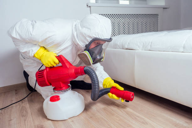 Professional Pest Control in Wendell, NC